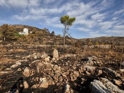 Zona de la Vall d'Ebo, en Alicante, afectada por los incendios de este verano.