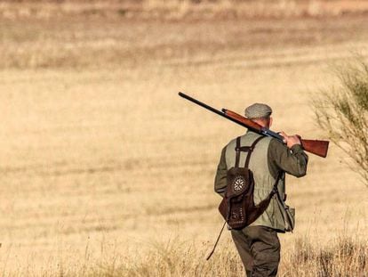 Un cazador en un coto de Castilla-La Mancha.