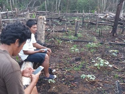 Indígenas que participan en las misiones de vigilancia forestal comunitaria encuentran áreas deforestadas próximas al territorio Copal Urco.