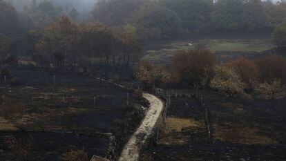 Nucleo de As Fermosas en Carbadella de Avia (Ourense).