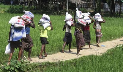 Refugiados rohingya portan mercancías en el campo de Jalpatoli, entre Myanmar y Bangladés.