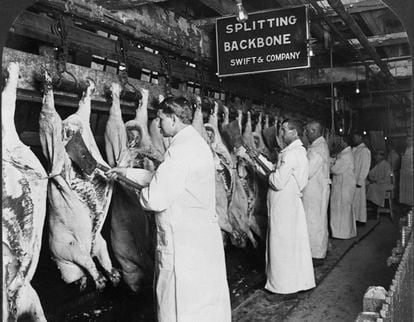 Trabajadores del matadero de Chicago descuartizan los cadáveres de varios cerdos muertos. Es 1906, un año después de que Upton Sinclair publicara 'La jungla'.