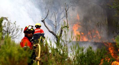 Dos bomberos con una manguera en el incendio declarado hoy en el t&eacute;rmino de Torre Manzanas.