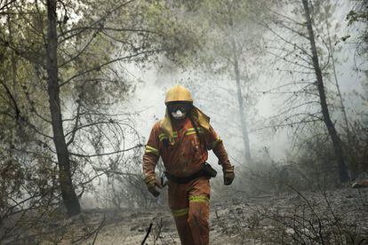 El Consorcio Provincial de Bomberos de Valencia ha desplegado un total de 225 efectivos y 92 vehículos (60 ligeros y 32 autobombas) en la extinción de los incendios declarados este miércoles, jueves y viernes en las localidades valencianas de Bolbaite, Carcaixent, Terrateig y Benifairó de les Valls. Hasta el momento, en los cuatro incendios se mantienen 69 bomberos, 15 autobombas y 18 vehículos ligeros. En la imagen, un brigadista forestal trabaja en frente del incendio.