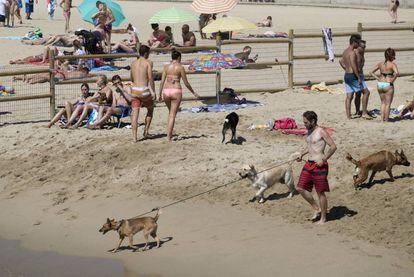 Personas con sus perros en una playa de Barcelona.