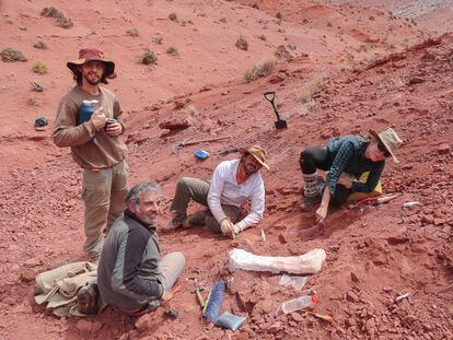 A la geóloga suiza Léa Leuzinger le llamó la atención lo que parecía ser un tubo blanco que sobresalía de la roca roja. Era un fémur de un dinosaurio.