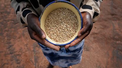 Maria Chagwena, una agricultora de Zimbabue, muestra un cuenco con granos de mijo en el distrito de Rushinga, al noreste de Harare, capital del país, en enero de 2023