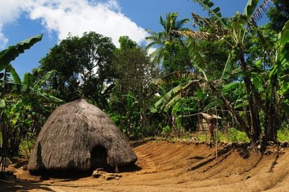 Con asombrosos pueblos tradicionales, un paisaje agreste y playas desiertas, Timor Occidental es todavía un lugar por descubrir. En su montañoso interior, las tradiciones animistas perduran junto con dialectos y jefes tribales que mastican nueces de areca y gobiernan pueblos de chozas en forma de colmena (en la foto). Mientras tanto, Kupang, la costera capital, vive a un ritmo frenético. Uno de los mayores reclamos es None, el último pueblo de cazadores de cabezas de Kefamananu. Podremos acercarnos a sus chozas, que acogen a 56 familias desde hace nueve generaciones, o al totem que señala el lugar donde se reunían los chamanes con los guerreros antes de que estos partiesen para cazar cabezas (la última fue en 1945).