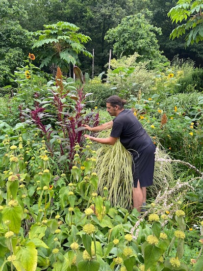 The landscaper Iñigo Segurola, among a jungle of phlomis, amaranth, sunflowers, dahlias, carex and pennyroyal in bloom.