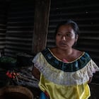 En La Frontera, un barrio pobre de Chilón, Rosa Méndez, de 38 años, cocina sobre el fogón unas hierbas que ella llama hojas de mora y que crecen de forma salvaje en las milpas. Mientras hierven sobre el fuego alto de la leña, Méndez explica que la variedad de alimentos se ha visto reducida para su familia desde que su esposo dejó de enviar dinero.