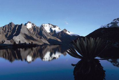 El Nevado del Cocuy es el glaciar más grande de Colombia y está ubicado en el centro oriental del país, con una extensión protegida de casi 306.000 kilómetros cuadrados. Tiene todos los pisos términos que se pueden encontrar dentro de Colombia y cuenta con más de 20 picos nevados.
