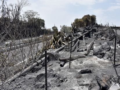 Vista de los daños causados por un incendio en Catena, cerca de Catania (Italia), el pasado 26 de julio.
