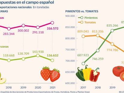 Por qué crecen los envíos de pimiento y fresa y caen los de tomate y manzana