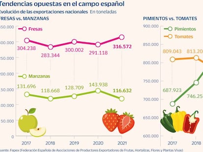 Por qué crecen los envíos de pimiento y fresa y caen los de tomate y manzana