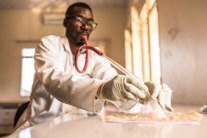 Selección de mosquitos para su estudio, usando un aspirador bucal, en el laboratorio del Ministerio de Ciencia (Kigali, Ruanda).