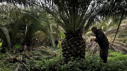 Un fotograma de 'Sacro GRA', de Gianfranco Rosi.