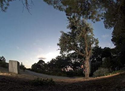 Monolito y olivo en el parque Federico García Lorca de Alfacar (Granada) cerca del lugar donde supuestamente yacen los restos del poeta.