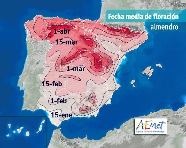 Mapa elaborado por El Tiempo de TVE a partir de datos de fenológicos de Aemet muestra las isocronas de la floración de este árbol de la familia de las rosáceas.