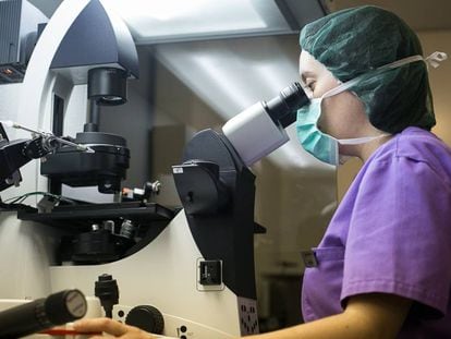 Una bióloga observa un embrión por el microscopio en el laboratorio médico del Instituto Cefer de Barcelona, clínica especializada en reproducción asistida.