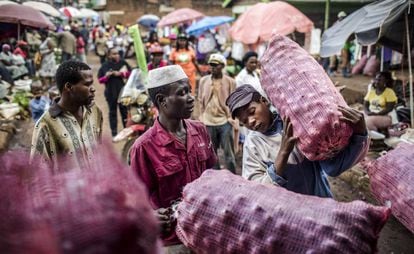 Jóvenes con sacos de cebollas en el mercado local de Meru (Kenia).