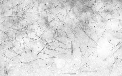 Fotografía perteneciente a la serie 'Pencil of nature' de Bohnchang Koo.