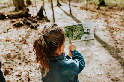 Una niña consulta en un papel el plano de un bosque.