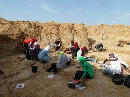 Excavación arqueológica en el barranco de Ain Boucherit, en Argelia.