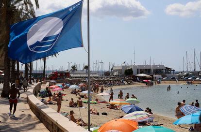 España ha incrementado las banderas azules que ondearán este año en sus playas, hasta 627, seis más que en 2022, lo que le permite seguir liderando esta clasificación mundial que reconoce la excelencia de las aguas, la seguridad de los bañistas y los servicios playeros. La Asociación de Educación Ambiental y del Consumidor, promotora de la iniciativa, resaltó que el 15% de las playas  de todo el mundo que tienen este distintivo están en España.
