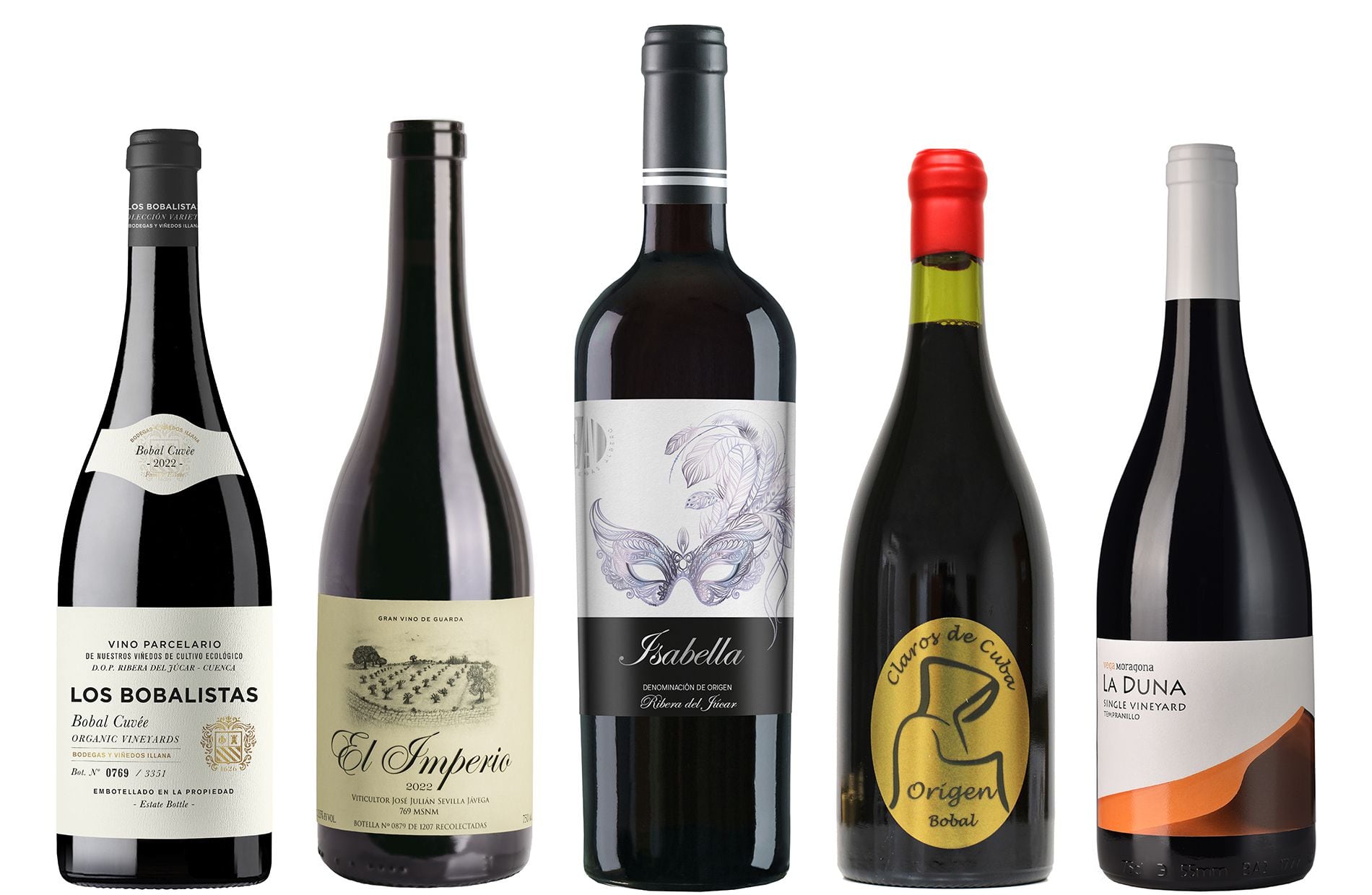 Cinco vinos tintos (con buena relación calidad- precio) de Ribera del Júcar