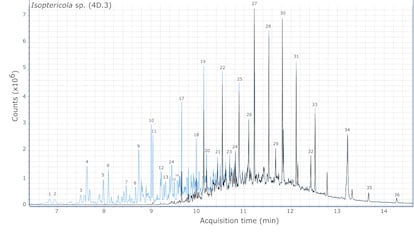 Cromatograma que muestra la degradación del combustible antes (línea clara) y después (línea oscura) de ser tratado con la cepa de 'Isoptericola'.