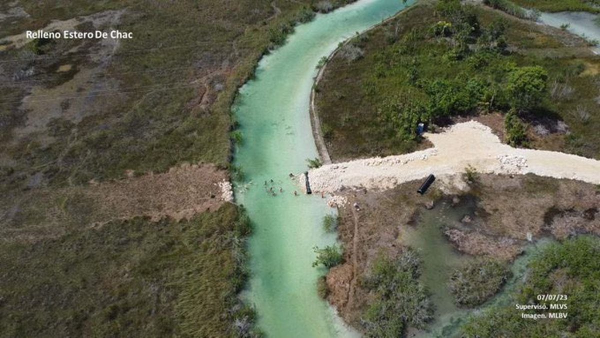 Estero Chac: daño a un humedal lleno de tierra y arena durante las obras del Tren Maya
