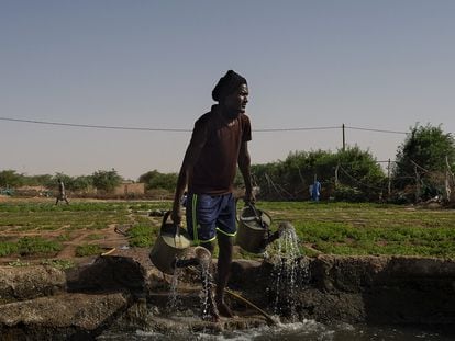 Proceso de riego en un huerto periurbano de Nuackchott (Mauritania) en un proyecto hortícola apoyado por la Cooperación Española.