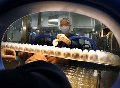Una trabajadora extrae un huevo de la zona de recolección en la fábrica de vacunas de Sanofi Pasteur en Pensilvania (EE UU).