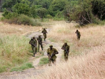 Un grupo de guardabosques patrullan en el interior del Parque Nacional Virunga, en 2006.