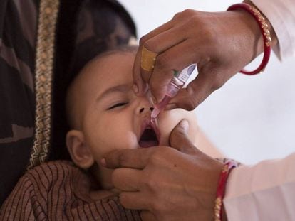 Un niño es vacunado contra la polio, en Agra, India.