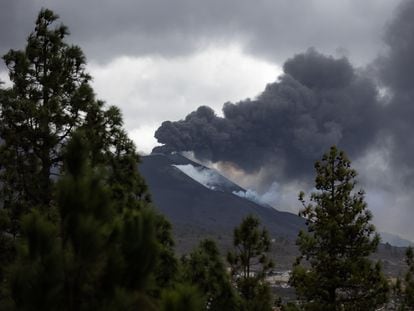 Erupción del volcán de La Palma, desde un pinar de la localidad de El Paso el 17 de noviembre.