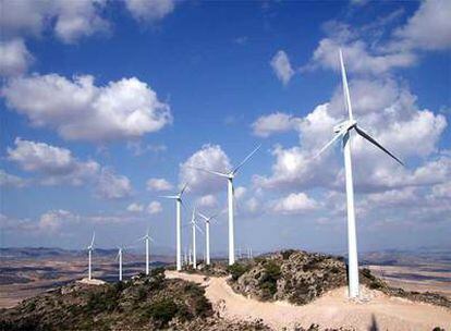 El parque de Buey (Murcia), que se sitúa en la sierra del mismo nombre, consta de 23 aerogeneradores de 850 kilovatios cada uno, con una potencia total instalada de 19,55 MW.