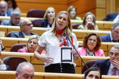 El PP recupera a ETA tras las elecciones vascas: “Sánchez ha concedido a Otegi una amnistía encubierta”