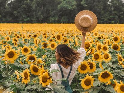 Uno de las múltiples fotos en el campo de girasoles que ha tenido que cerrarse al público.