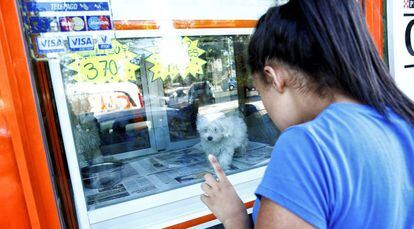 Una joven mira a un cachorro en un expositor de una tienda de animales.