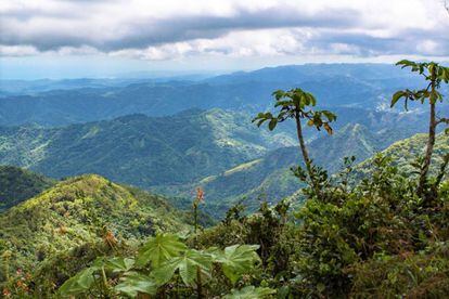 La Cordillera Central atraviesa Puerto Rico de este a oeste.