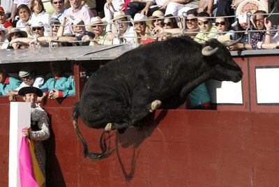 El primer toro de la tarde trata de saltar al callejón.