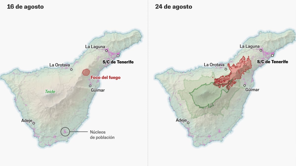 ¿por Qué Ha Ardido Tan Rápido El Incendio De Tenerife España El PaÍsemk 2302