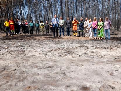 Pedro Sánchez durante su visita, este lunes, a las zonas afectadas por el incendio forestal de Bejís.