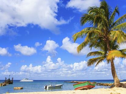 Idílica playa del Caribe.
