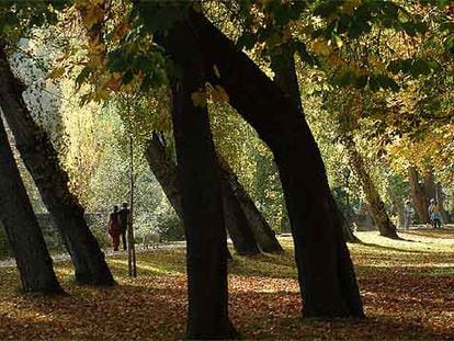 El paseo de la Alameda, junto al río Eresma, conduce hasta el monasterio jerónimo de Nuestra Señora del Parral.