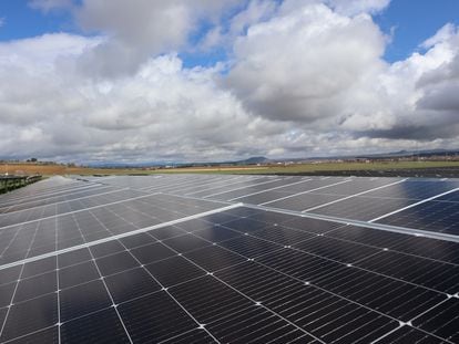 Panorámica de una planta solar en Guadalajara