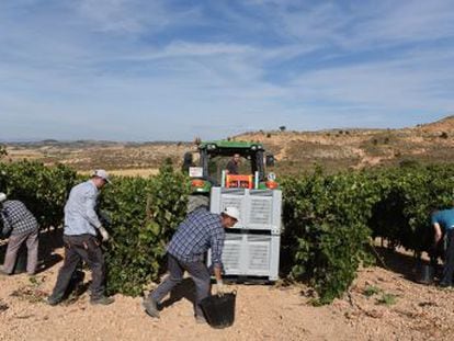 Botellas de 100 euros se vendían a casi 2.000 mediante un sofisticado sistema de falsificación y catas a ciegas