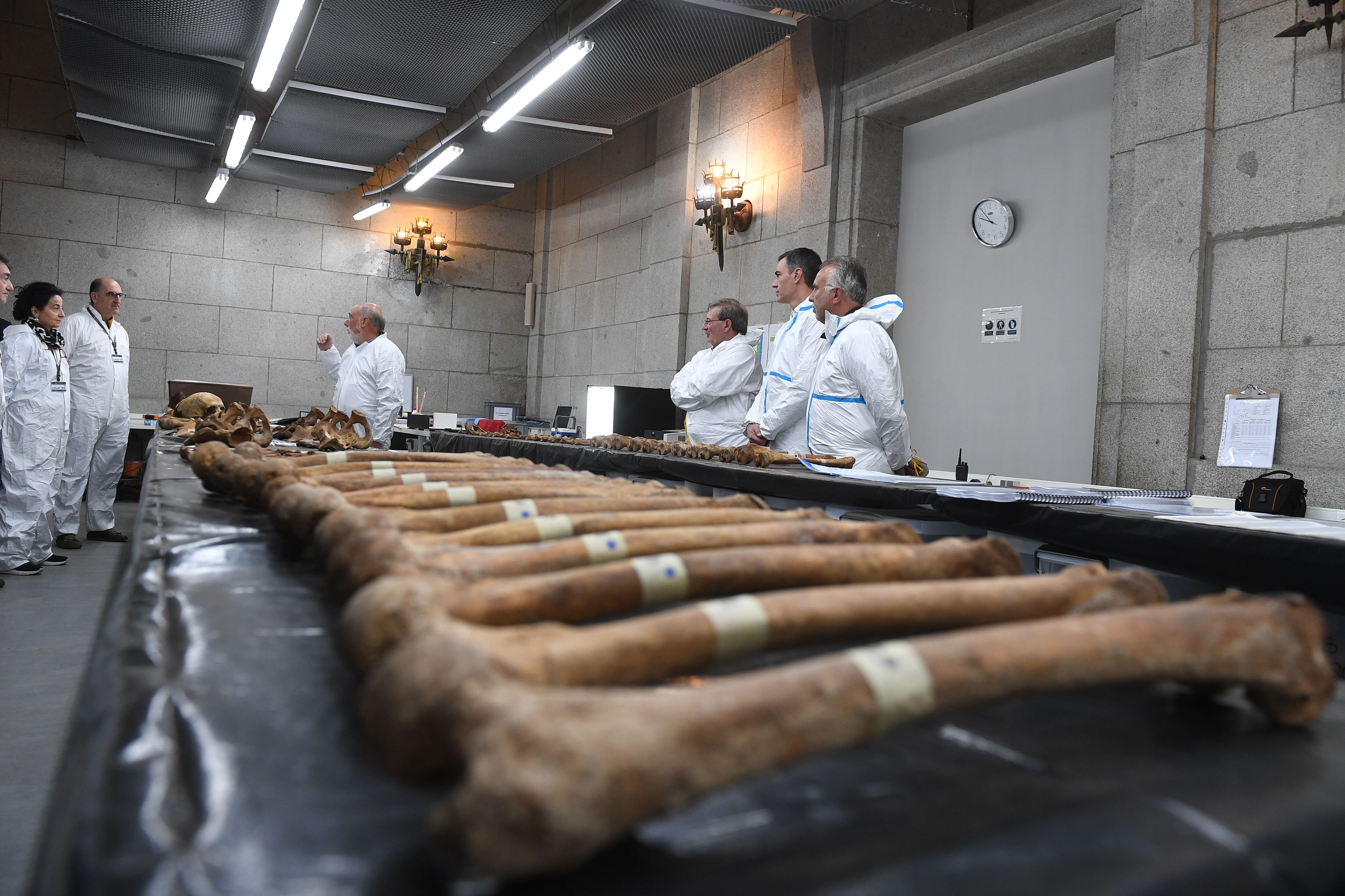 El presidente del Gobierno, Pedro Sánchez, ha visitado este jueves el laboratorio forense en el Valle de Cuelgamuros, para conocer de primera manos los trabajos del equipo forense que trabaja en la exhumación de 160 víctimas.