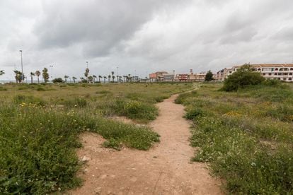 Las parcelas frente a la playa de los Náufragos, donde se proyecta levantar nueve rascacielos.